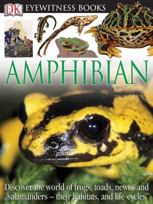 Title details for Amphibian by Barry Clarke - Available